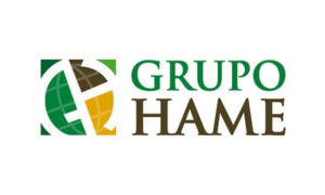 Logo 6